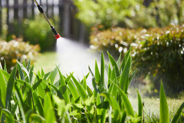 Tamper-Resistant Bait Stations for Rodents in Whitewater