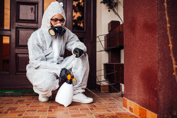 Attic and Crawl Space Rodent Treatment in Whitewater